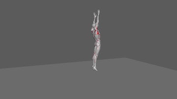 Roll, jump and punch humanoid Game Cycles