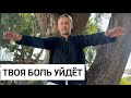 Твоя боль уйдёт после просмотра этого энергетического сеанса