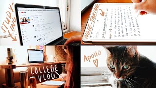 College Vlog: Extremely Productive Day in My Life - Studying, Note-Taking, Zoom Classes