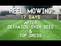 Lawn Rejuvenation Part 4of4 - Mowing
