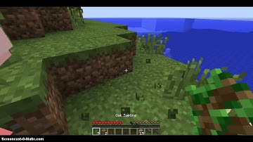 Minecraft Survival Island- Part 1- Getting Started