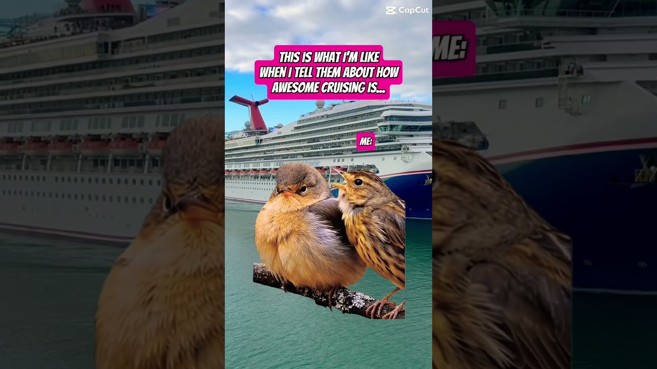 Once you’ve CRUISED you WILL be the SAME! 🛳️🗣️ #cruise #shorts #fyp #birds #travel
