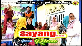 Lagu Jambi - Sayang  - Rina Tj - Official management arzuna music