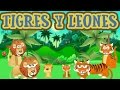 Torrebruno - "Tigres, tigres, leones, leones"  (Canción infantil en dibujos)