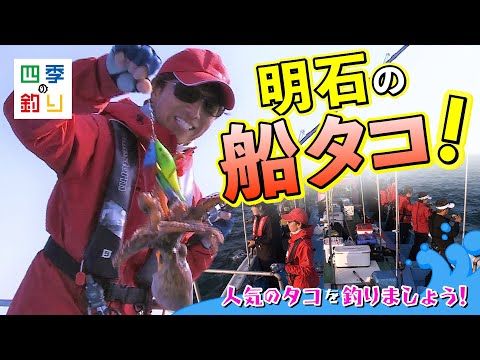 明石の船タコ開幕！人気のタコを釣りましょう！（四季の釣り/2023年5月26日放送）