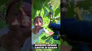 Download Lagu 21 december 2025 MP3