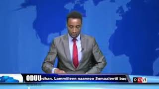 Omn waa,ee obbo Lamma magarsaa akkas jedhu