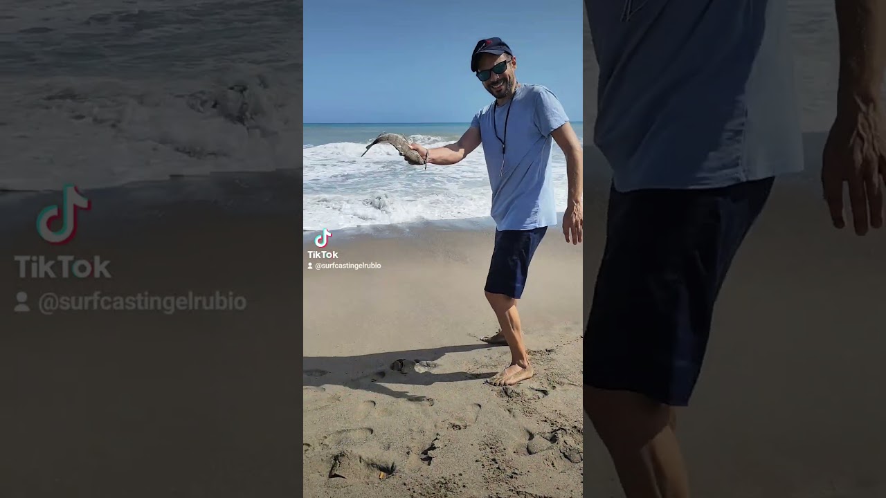 Surfcasting en Málaga. Temporal de levante. Captura y suelta de un buen sargo!