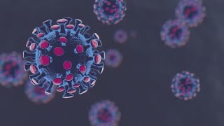 Uchealth Announces New Protocol For Workers Showing Symptoms