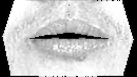ECE 417: Speech Driven Facial Animation