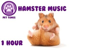 1 Hour of Relaxing Music for Your Pet Hamster screenshot 2