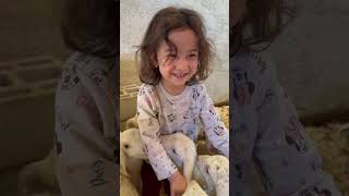 Hatice Kübra yeni doğan kuzuları sevmeye geldi #funnykid #funnyvideo