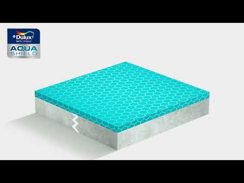 Dulux Aquashield Waterproof