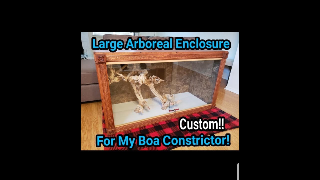 enclosure for adult boa constrictor