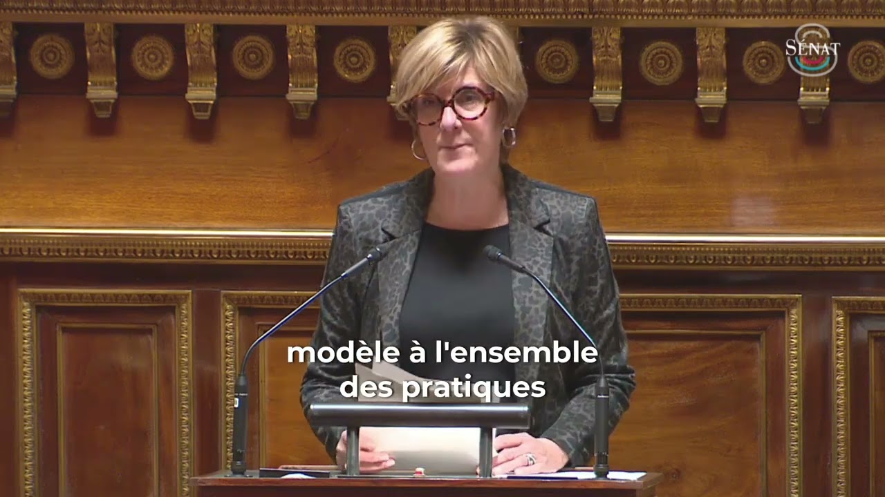 PPL visant à intégrer les centres experts en santé mentale dans le code de la santé publique