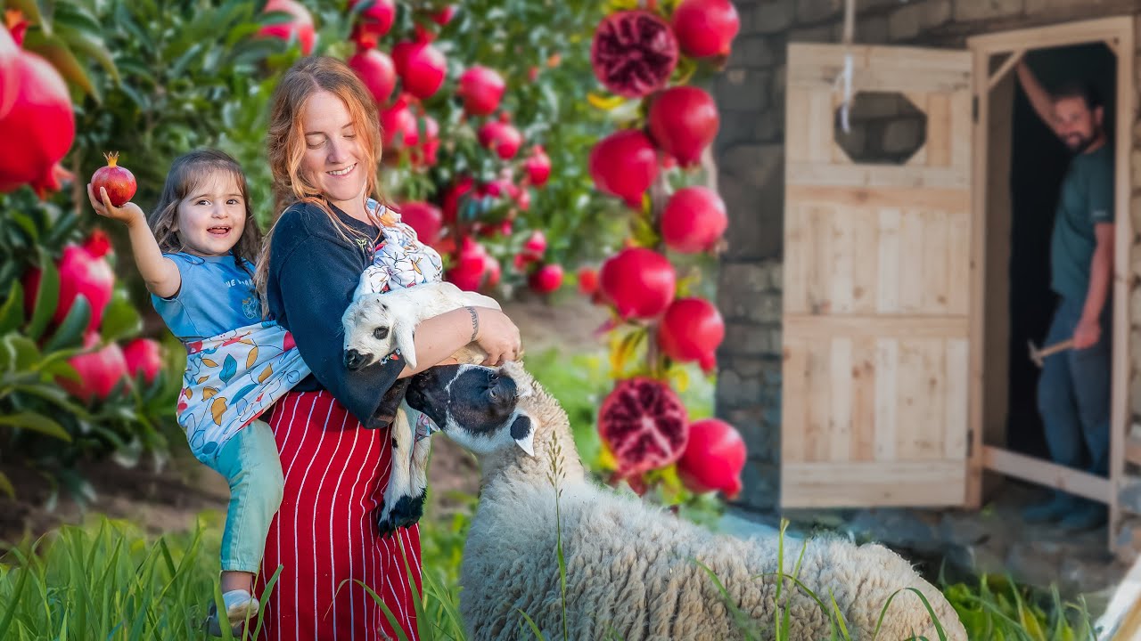 البادية المغربية | جني وبيع الرمان، عصير الرمان الطبيعي، وبناء باب خشبي للبيت الطيني الجديد
