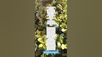 تأمل في عظمة الله | سورة الحشر عبد الباسط عبد الصمد