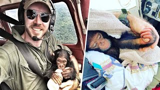 Orphaned Chimp Snuggles Up To Hero Pilot On Freedom Flight To His New Home by Top Animals Story 510 views 2 years ago 3 minutes, 32 seconds