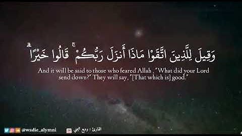 ﴿ وَقِيلَ لِلَّذِينَ اتَّقَوْا مَاذَا أَنزَلَ رَبُّكُمْ ﴾ تلاوة بديعة قمة في الجمال - وديع اليمني