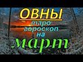 ГОРОСКОП ОВНЫ НА МАРТ МЕСЯЦ.2020