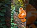 Os 5 animais que estão em perigo crítico de extinção! #curiosidades #shorts #fyp #animal