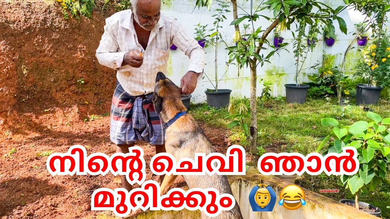 ഇനി അല്പം വീട്ടുകാര്യം ആവാം...|familyvlog
