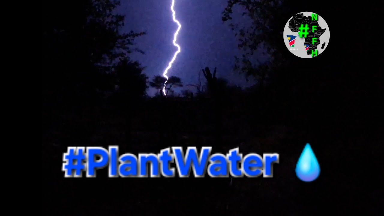#PlantWater
