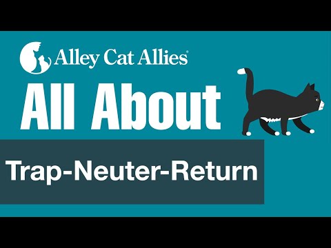 تصویری: On 'Trap، Neuter، And Return: Bad For The Cats، فاجعه برای پرندگان