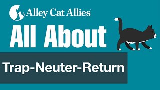 All About Trap-Neuter-Return