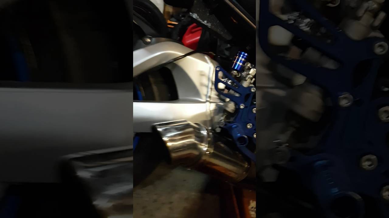 Changing dog bones on a bking.