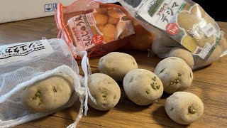 秋に植えるジャガイモおすすめ品種 芽出しは いつ植える Youtube