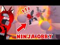 How To Become The BEST NINJA In This Ninja Obby! (Roblox)