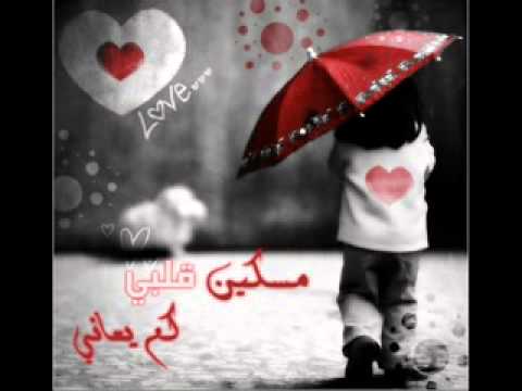 شرين مش عايزة غيرك