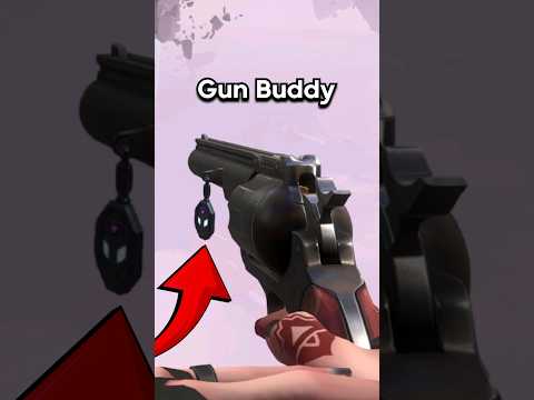 This VALORANT Gun Buddy Has A Hidden Secret...