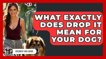 What Exactly Does Drop It Mean For Your Dog? - Obedient Dog Guide