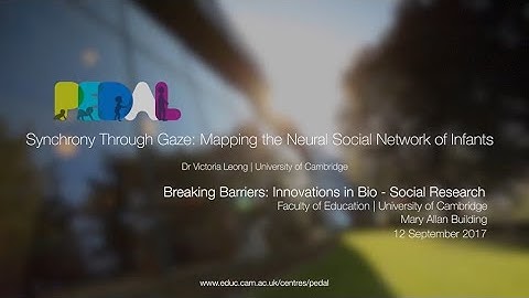 Synchrony Through Gaze: Mapping the Neural Social Network of Infants