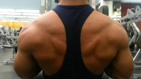 HodgeTwins Back Workout @hodgetwins