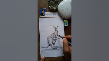 Easy drawing sketch of a kangaroo hope you like it.