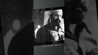 Şivan Perwer - Mîrkut Resimi