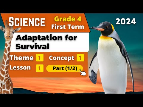 Video: Hvad er tilpasning til overlevelse?