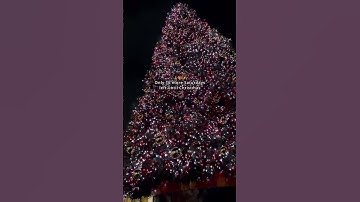 The Countdown For Christmas Finally Begins