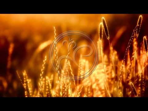 Ólafur Arnalds & Nils Frahm - 00:26 (Ryan Davis Rethink)