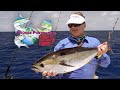 2021 SEASON - Episode 4 Marathon, Dolphin & Blackfin Tuna  4K