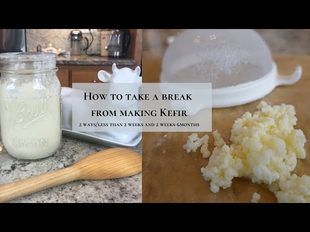 How To Store Milk Kefir Grains