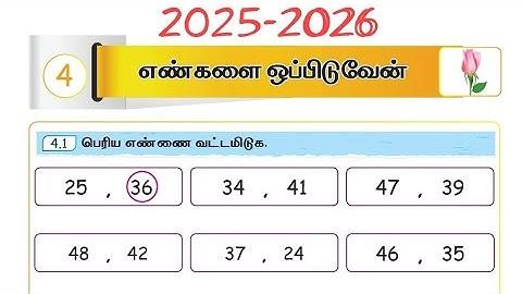 2025- 2026 மொட்டு கணக்கு அலகு 4 எண்களை ஒப்பிடுவேன் EE workbook answers  Mottu page no 24 to 30
