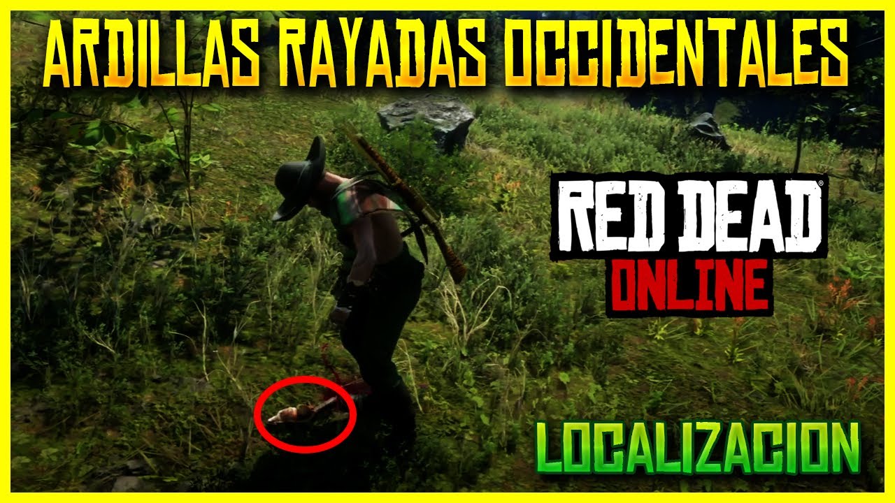ARDILLAS RAYADAS OCCIDENTALES LOCALIZACION RED DEAD ONLINE - DESAFIOS ...