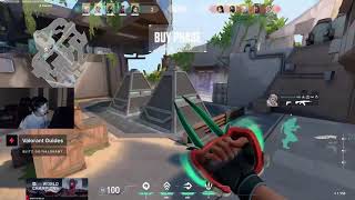 Famous what is better - Phantom or Vandal ? TenZ Net Worth