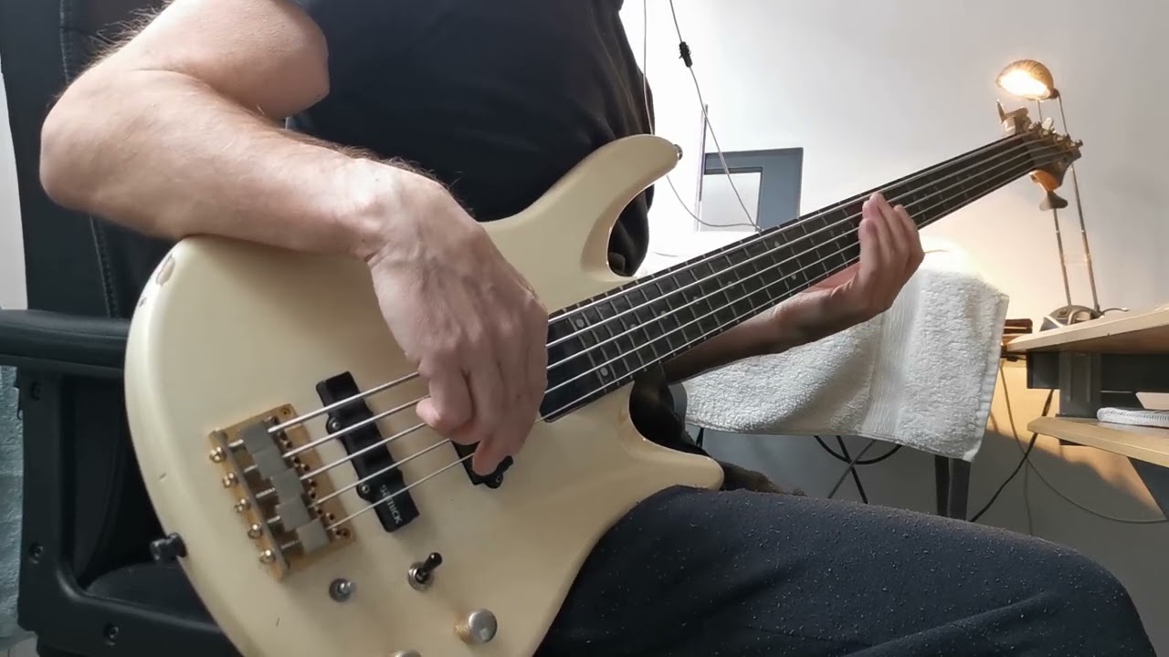 Billie Eilish - Lost Cause (Bass Cover )