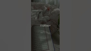 سورة الليل _احمد العجمي