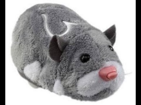 Review: Zhu Zhu Pets - Being Mrs C